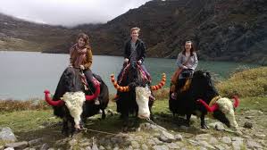 Shimshal valley Yak Safari/Tour