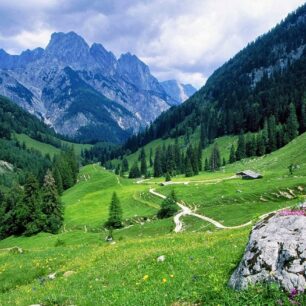 Naltar