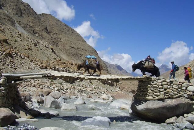 Shimshal Chafchingol Pass Trek